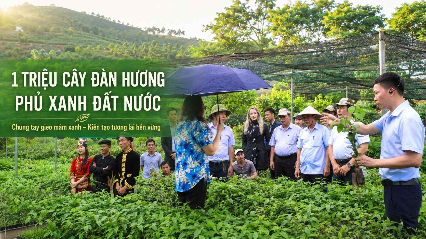 Chiến Dịch 1 Triệu Cây Đàn Hương Phủ Xanh Đất Nước