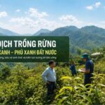 Chiến Dịch Trồng Rừng