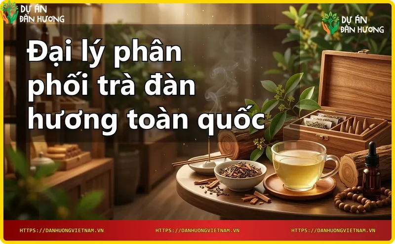 co-so-san-xuat-tra-dan-huong-chat-luong-cao-cua-dan-huong-viet-nam Cơ sở sản xuất trà đàn hương chất lượng cao của Đàn Hương Việt Nam