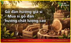 Giới thiệu gỗ đàn hương giá sỉ từ Đàn Hương Việt Nam