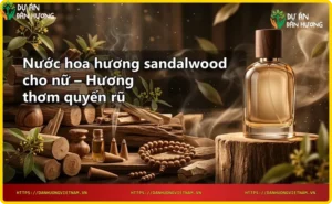 Giới thiệu nước hoa hương sandalwood cho nữ – tinh dầu đàn hương nguyên chất