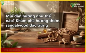 Gỗ đàn hương chất lượng cao, thớ gỗ vàng nâu, nguồn gốc tự nhiên