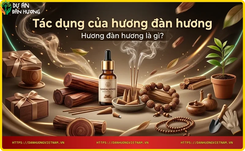 go-dan-huong-nguyen-chat-va-huong-dan-huong Gỗ đàn hương nguyên chất và hương đàn hương