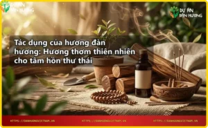 Gỗ đàn hương nguyên chất và hương đàn hương