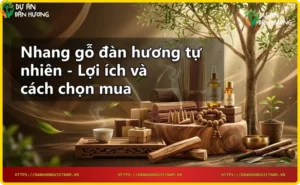 Gỗ đàn hương nguyên chất và nhang gỗ đàn hương tự nhiên