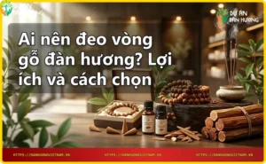 Gỗ đàn hương nguyên khối và vòng đàn hương thành phẩm