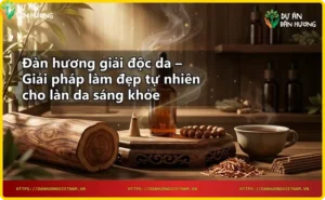 Gỗ đàn hương tự nhiên trong rừng với ánh sáng vàng dịu