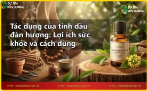 Gỗ đàn hương tự nhiên với thớ gỗ đặc trưng và lá cây đàn hương