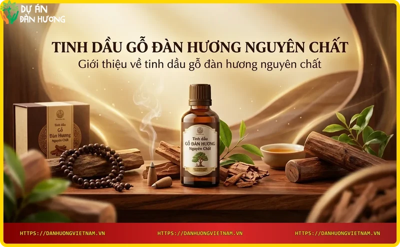 go-dan-huong-va-tinh-dau-go-dan-huong-nguyen-chat Gỗ đàn hương và tinh dầu gỗ đàn hương nguyên chất