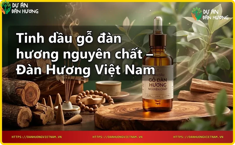 go-dan-huong-va-tinh-dau-go-dan-huong-nguyen-chat Gỗ đàn hương và tinh dầu gỗ đàn hương nguyên chất