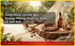 Hạt đàn hương chất lượng cao với vân gỗ tự nhiên