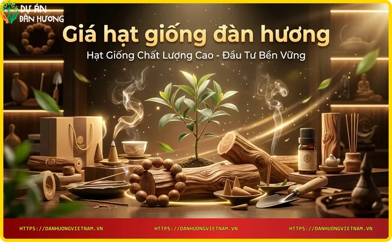 hat-giong-dan-huong-duoc-cam-tren-tay-duoi-anh-nang-tu-nhien Hạt giống đàn hương được cầm trên tay dưới ánh nắng tự nhiên