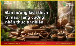 Hình ảnh lát cắt gỗ đàn hương với vân gỗ và hình não phát sáng thể hiện tác động kích thích trí não