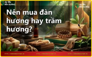 Hình ảnh so sánh gỗ đàn hương và trầm hương - Tổng quan cơ bản
