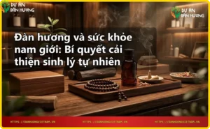 Khúc gỗ đàn hương cùng tinh dầu và vòng tay