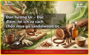 Khúc gỗ đàn hương Úc thô với vân gỗ tự nhiên