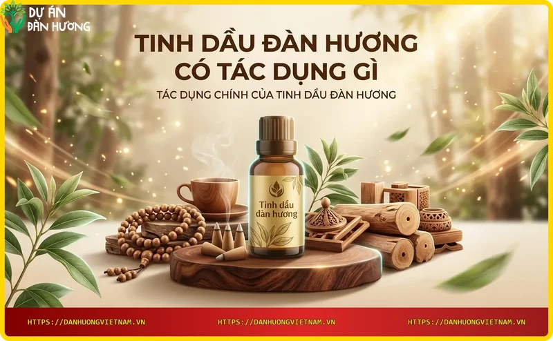 Khuếch tán tinh dầu đàn hương thư giãn