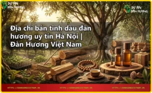 Kiểm tra tinh dầu đàn hương với kính lúp và giấy chứng nhận