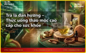 Lá đàn hương tươi và ấm trà thủy tinh với nước trà vàng óng, hơi nước bay lên.