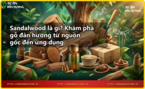 Lát cắt gỗ đàn hương sandalwood với vân gỗ vàng nâu đặc trưng