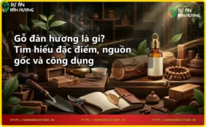 Lợi ích của gỗ đàn hương - tinh dầu, chăm sóc da, thiền định