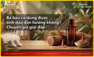 Lợi ích của tinh dầu đàn hương cho bà bầu: giảm căng thẳng, cải thiện giấc ngủ
