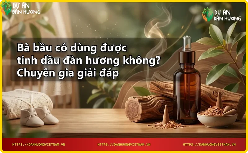 Lợi ích của tinh dầu đàn hương cho bà bầu: giảm căng thẳng, cải thiện giấc ngủ