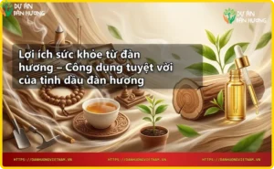 Lợi ích sức khỏe từ đàn hương - Thư giãn cùng tinh dầu đàn hương