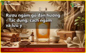 Ly rượu ngâm gỗ đàn hương màu hổ phách