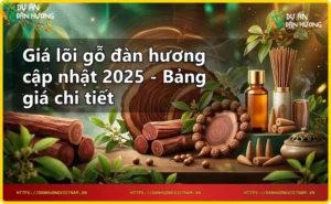 Mặt cắt lõi gỗ đàn hương với vân gỗ đẹp và tinh dầu tự nhiên