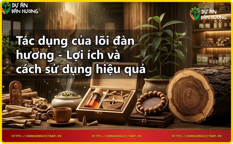 Mặt cắt lõi gỗ đàn hương với vân gỗ và tinh dầu