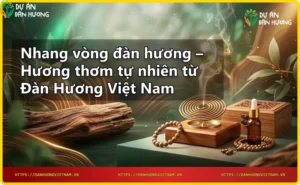 Một vòng nhang đàn hương trên khay gỗ với vỏ cây và mảnh gỗ đàn hương