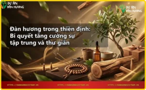 Người thiền định với nhang đàn hương và khói thơm tạo vòng halo