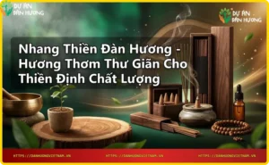 Người thiền định với nhang thiền đàn hương, khói thơm nhẹ nhàng lan tỏa