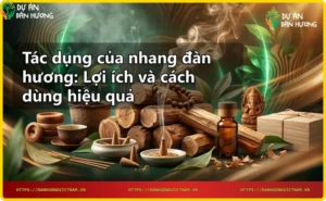 Nguyên liệu gỗ đàn hương và nhang đàn hương tự nhiên