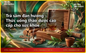 Nguyên liệu trà sâm đàn hương gồm đàn hương và nhân sâm