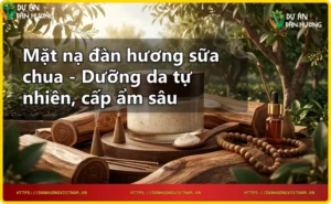 Nguyên liệu tự nhiên của mặt nạ đàn hương sữa chua: bột đàn hương, sữa chua tươi và lá đàn hương
