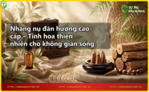 Nhang nụ đàn hương cao cấp trong không gian thiền định yên tĩnh