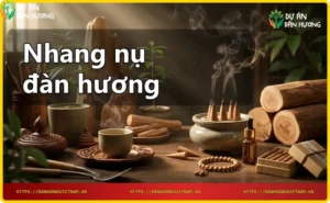 Nhang nụ đàn hương nguyên chất từ gỗ đàn hương thiên nhiên