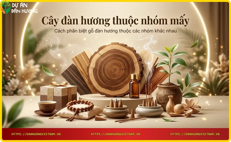 Phân biệt gỗ đàn hương Ấn Độ và Úc - so sánh vân gỗ và màu sắc