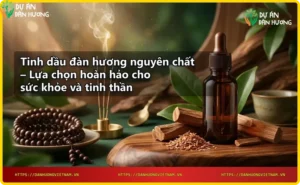 Quy trình chiết xuất tinh dầu đàn hương nguyên chất từ gỗ đàn hương