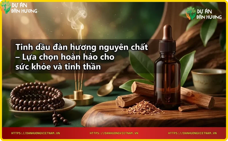 quy-trinh-chiet-xuat-tinh-dau-dan-huong-nguyen-chat-tu-go-dan-huong Quy trình chiết xuất tinh dầu đàn hương nguyên chất từ gỗ đàn hương