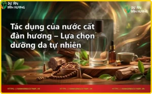 Quy trình chưng cất nước cất đàn hương từ gỗ đàn hương nguyên chất