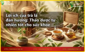 Quy trình pha trà lá đàn hương với ấm và tách sứ