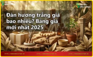 Rừng đàn hương trắng xanh tốt dưới ánh nắng ban mai – hình ảnh tổng quan về thị trường đàn hương trắng