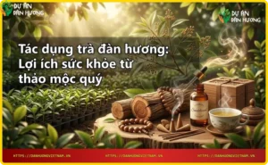 Tách trà đàn hương ấm áp bên cạnh gỗ đàn hương và lá xanh