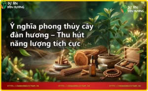 Thân cây đàn hương với vân gỗ đẹp và khói hương nhẹ
