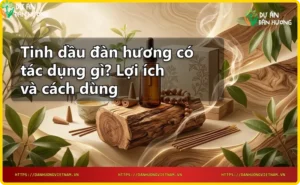 Thớ gỗ đàn hương với tinh dầu tự nhiên
