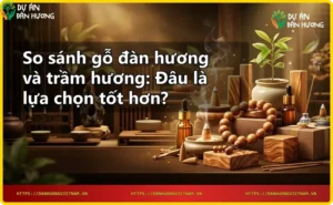 Tổng quan về gỗ đàn hương và trầm hương - thân cây đàn hương và cây dó bầu