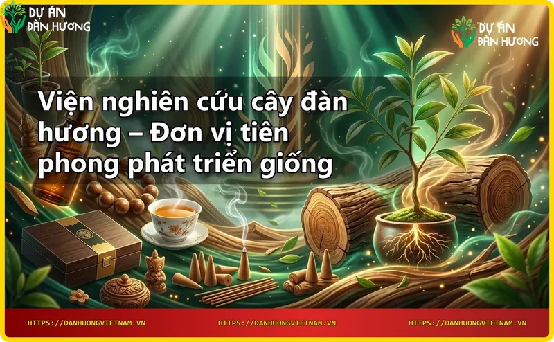 vien-nghien-cuu-cay-dan-huong-co-so-nghien-cuu-hien-dai-voi-doi-ngu-chuyen-gia Viện nghiên cứu cây đàn hương – cơ sở nghiên cứu hiện đại với đội ngũ chuyên gia